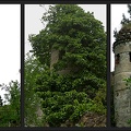 Burg Seebenstein (20060617 1039)